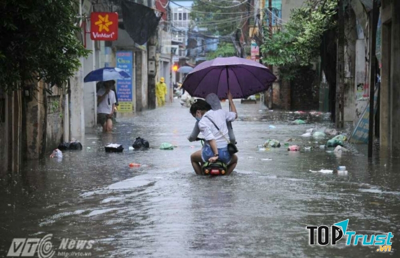 Ảnh minh họa (nguồn internet)