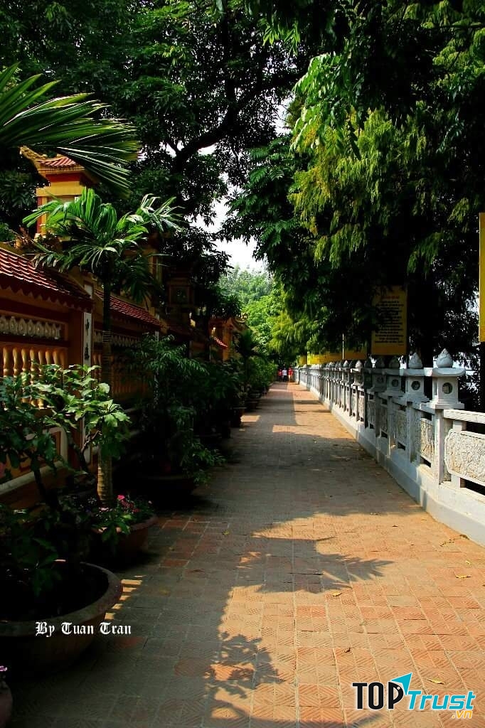 Ảnh minh họa (NAG Tuan Tran)