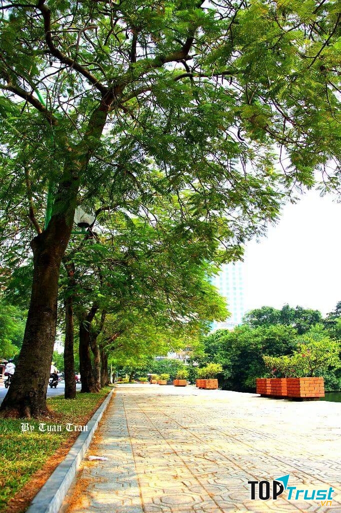 Ảnh minh họa (NAG Tuan Tran)