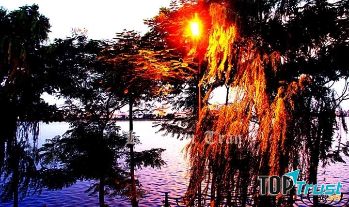 Ảnh minh họa (NAG Tuan Tran)