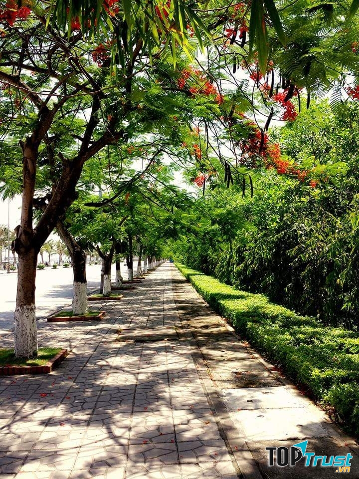 Ảnh minh họa (NAG Tuan Tran)