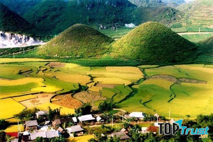 Ảnh minh họa (NAG Tuan Tran)