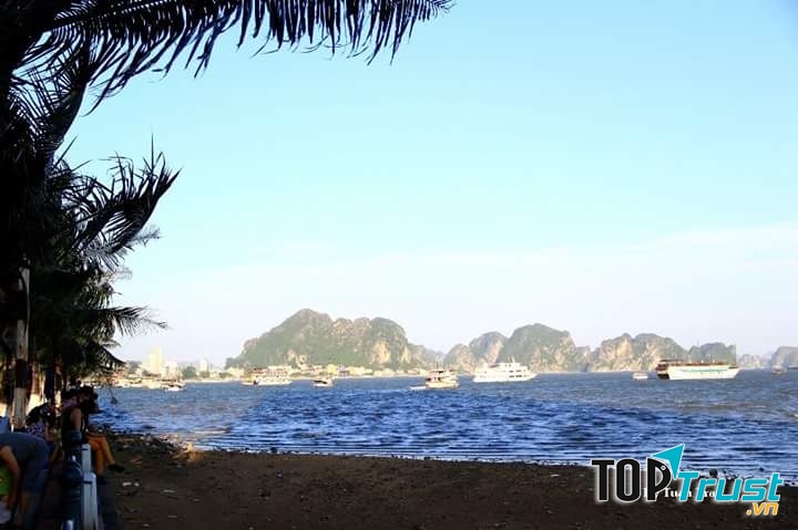 Ảnh minh họa (NAG Tuan Tran)