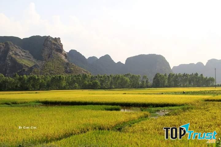 Ảnh minh họa (NAG Tuan Tran)