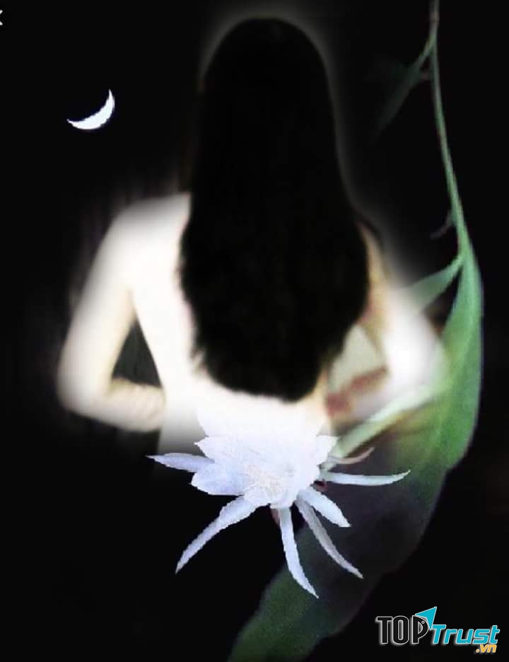 Ảnh minh họa (nguồn internet)