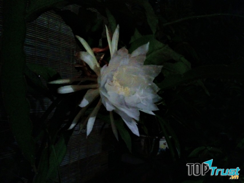 Ảnh minh họa (Nguyễn Hương)