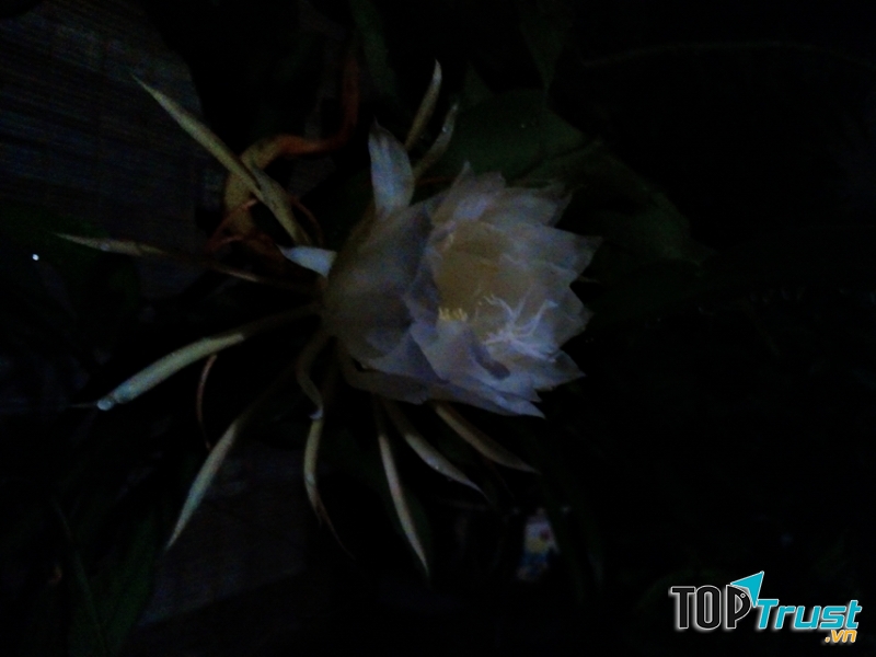 Ảnh minh họa (Nguyễn Hương)