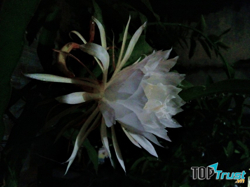 Ảnh minh họa (Nguyễn Hương)