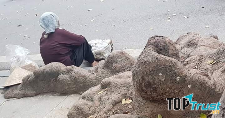 Ảnh minh họa (nguồn internet)