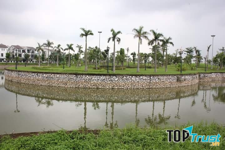 Ảnh minh họa Chu Minh Khôi