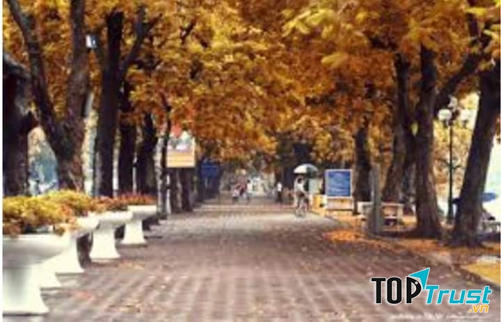 Ảnh minh họa (nguồn internet)