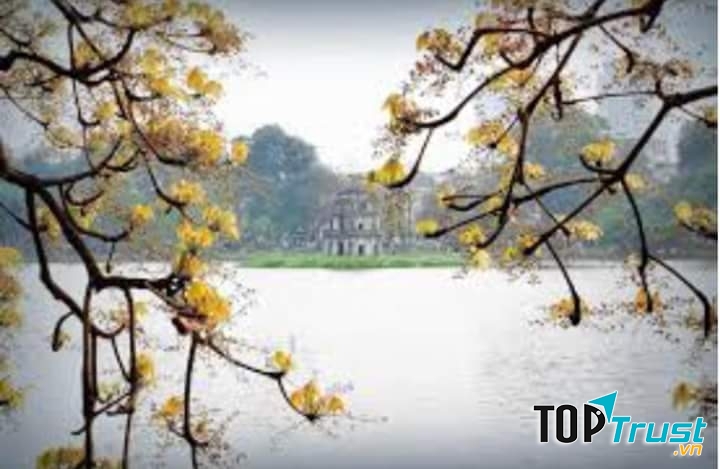 Ảnh minh họa (nguồn internet)