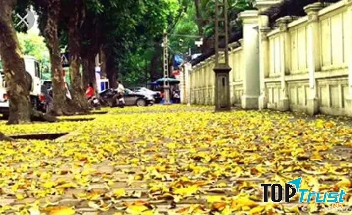 Ảnh minh họa ( nguồn internet)