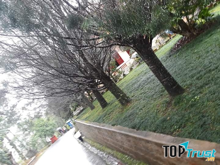 Ảnh minh họa ( nguồn internet)