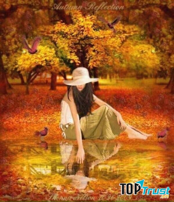 Ảnh minh họa ( nguồn internet)