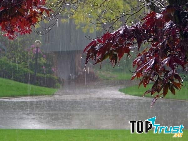 Ảnh minh họa ( nguồn internet)