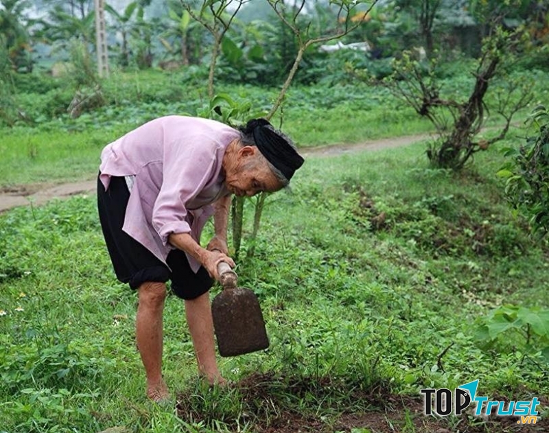 Ảnh minh họa nhiếp ảnh gia Hung Hoang