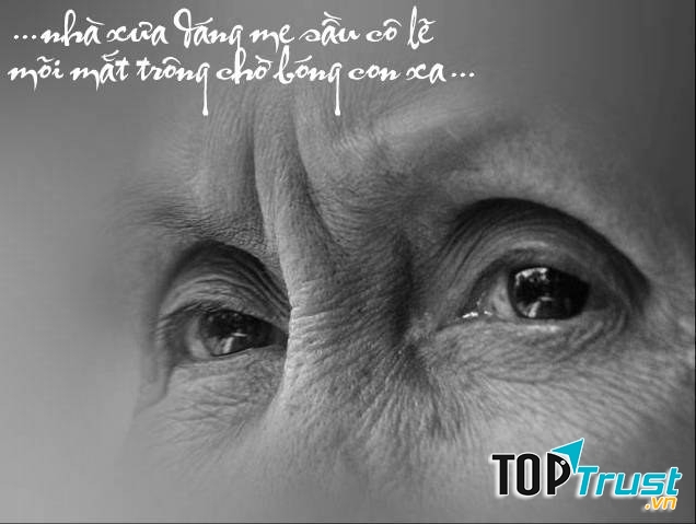 Ảnh minh họa (nguồn Internet)