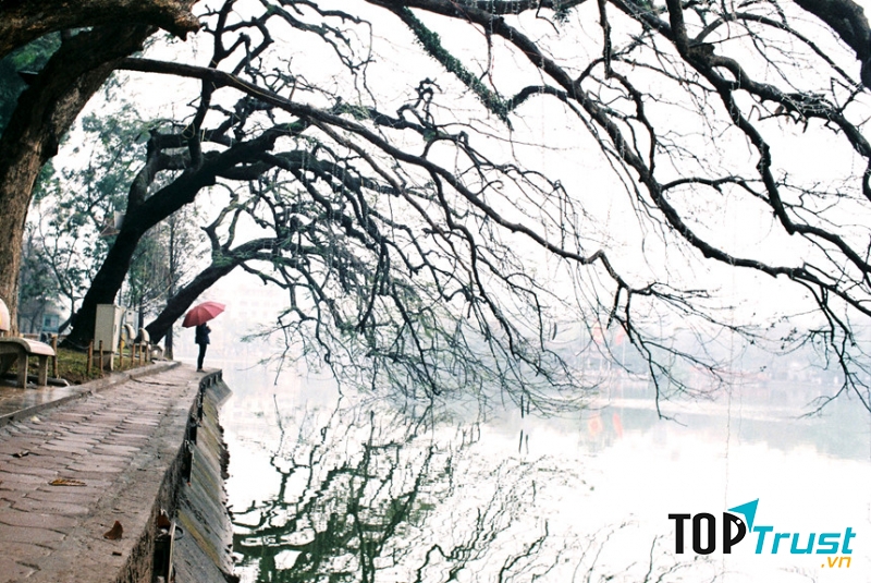 Ảnh minh họa (nguồn internet)