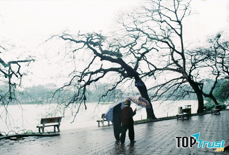 Ảnh minh họa (nguồn internet)