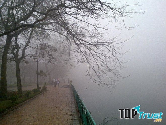 Ảnh minh họa (nguồn internet)