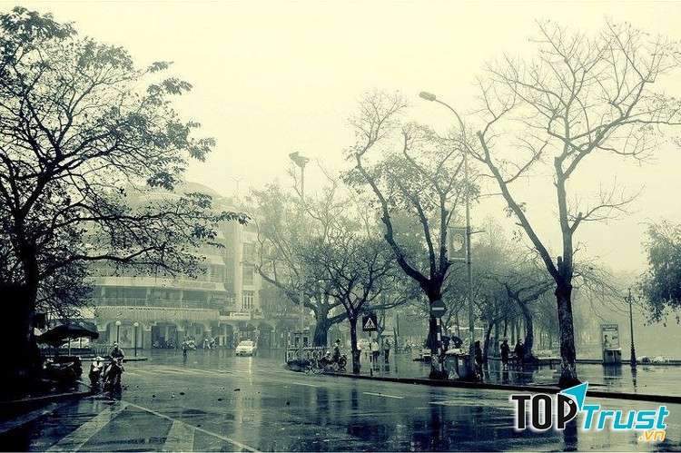 Ảnh minh họa (nguồn internet)