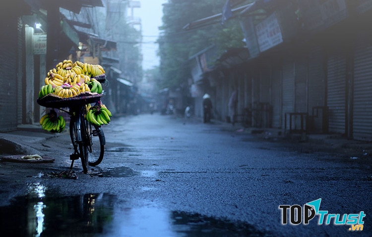 Ảnh minh họa (nguồn internet)