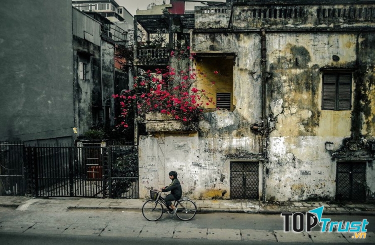 Ảnh minh họa (nguồn internet)