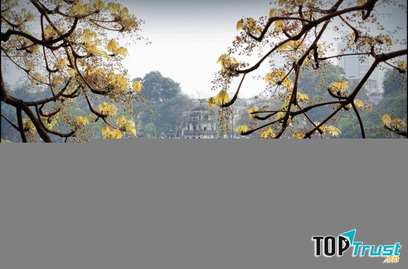 Ảnh minh họa (nguồn internet)