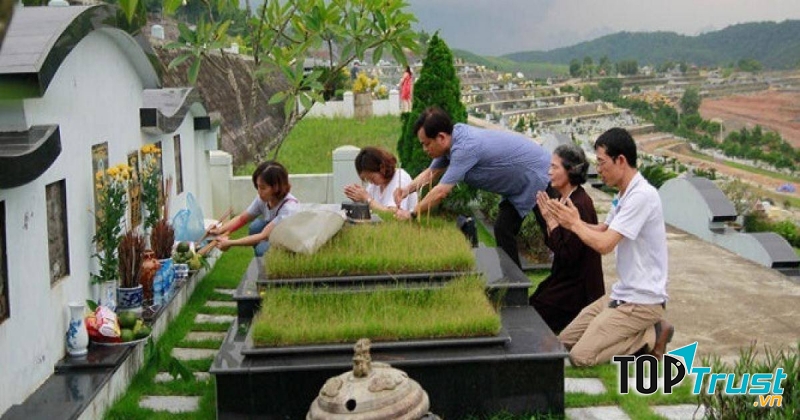 Ảnh minh họa (nguồn internet)