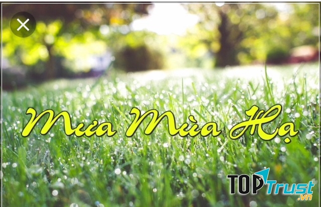 Ảnh minh họa (nguồn internet)