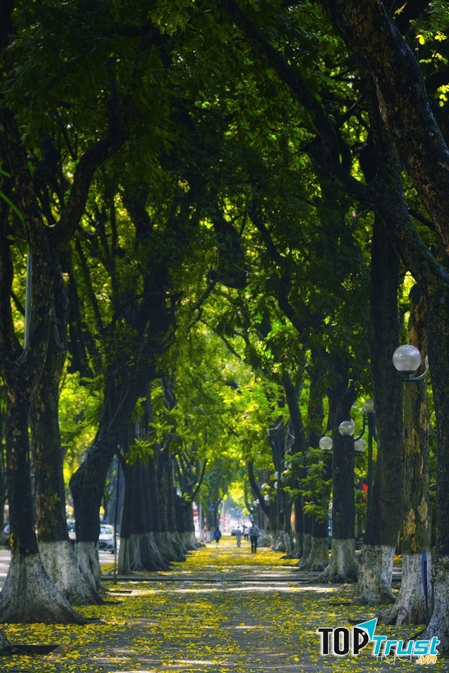 Ảnh minh họa (nguồn internet)