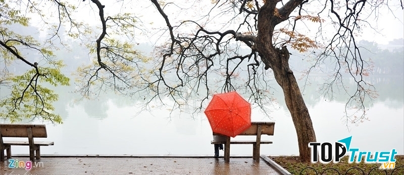 Ảnh minh họa (nguồn internet)