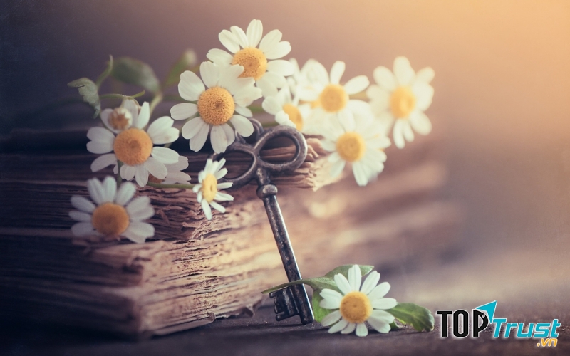 Ảnh minh họa (nguồn internet)