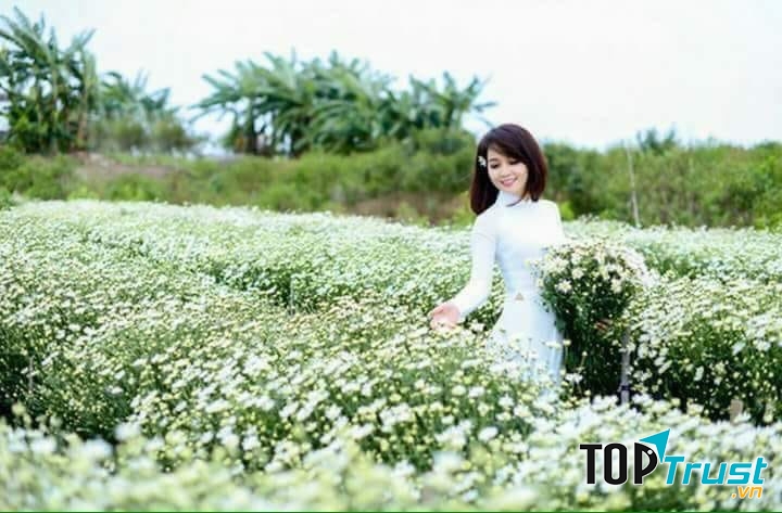 Ảnh minh họa (nguồn internet)