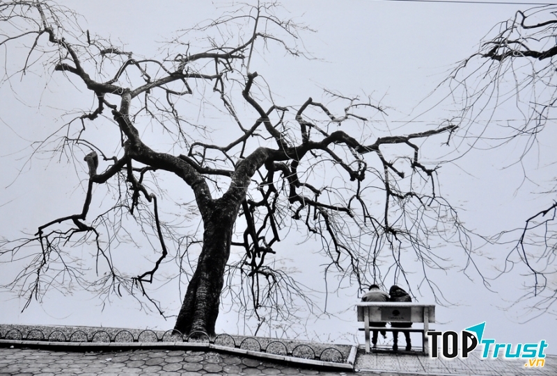 Ảnh minh họa (Nguồn internet)