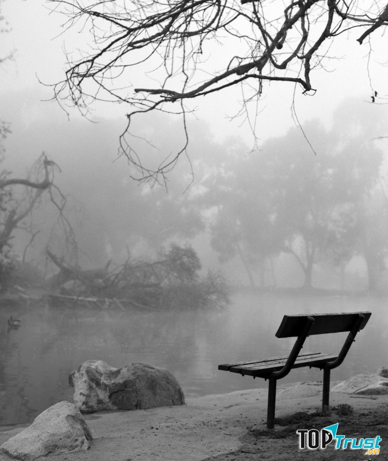 Ảnh minh họa (nguồn Internet)