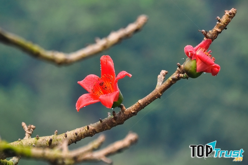 Ảnh minh họa (nguồn internet)