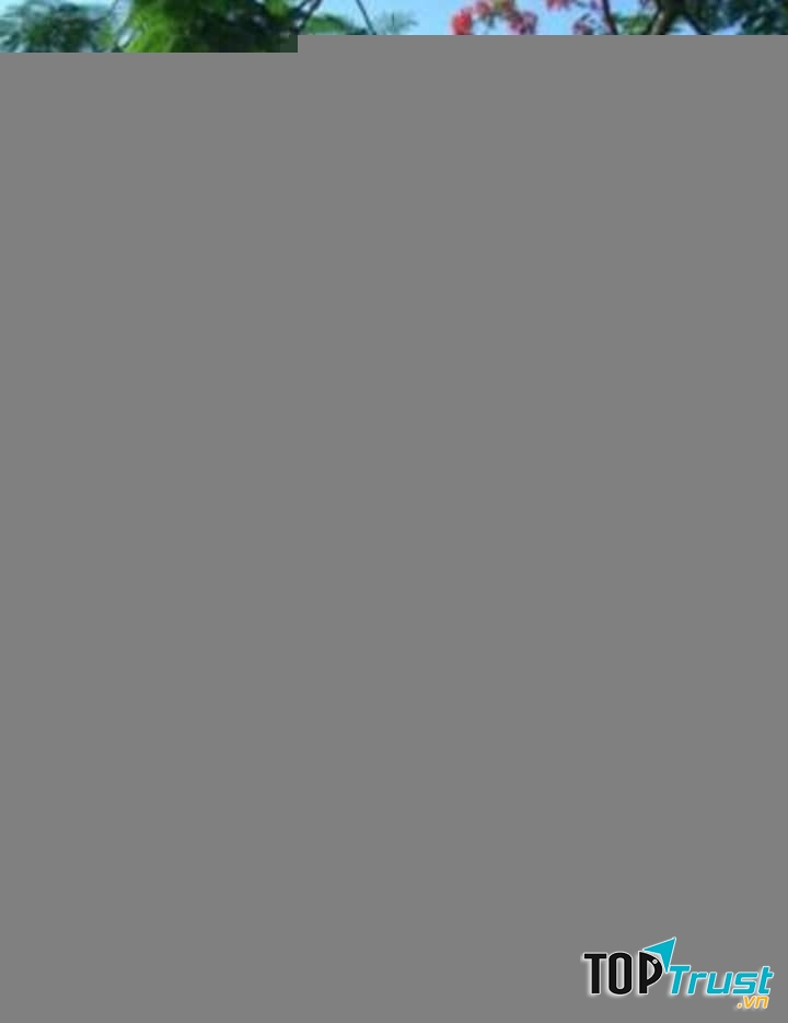 Ảnh minh họa (nguồn internet)