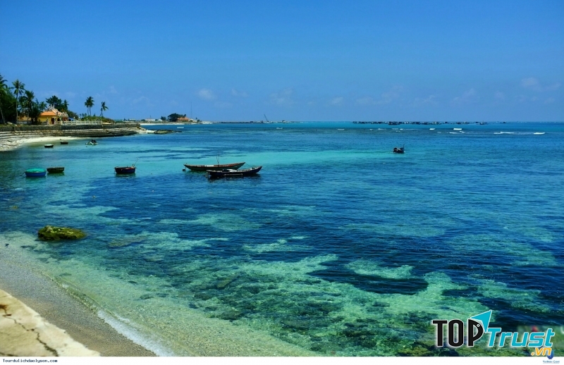 Ảnh minh họa (Nguồn internet)