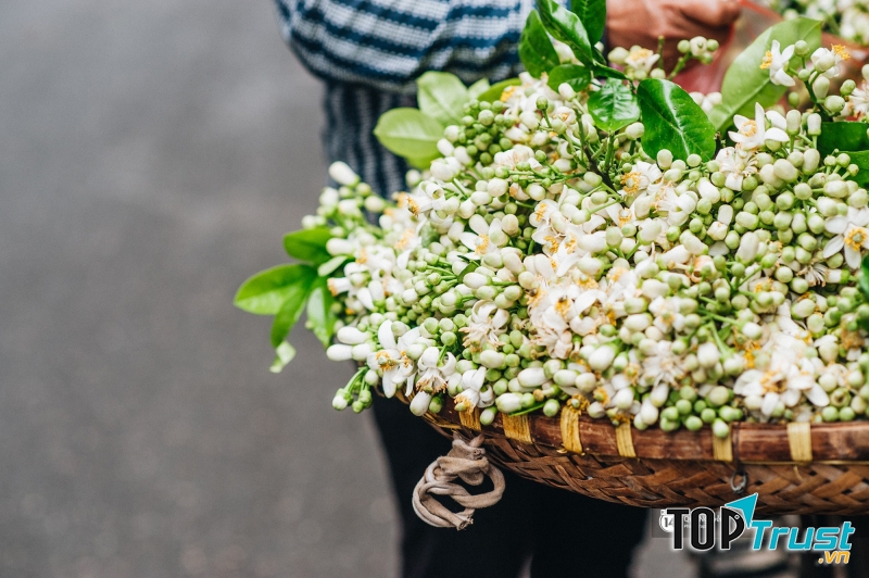 Ảnh minh họa (nguồn internet)