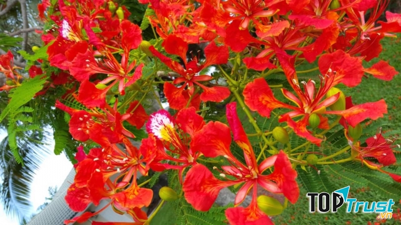 Ảnh minh họa (nguồn internet)