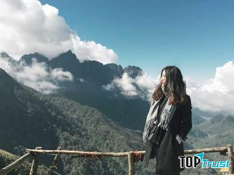 Ảnh minh họa (nguồn internet)