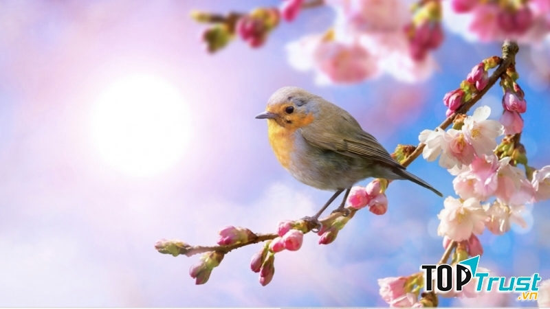 Ảnh minh họa (nguồn internet)