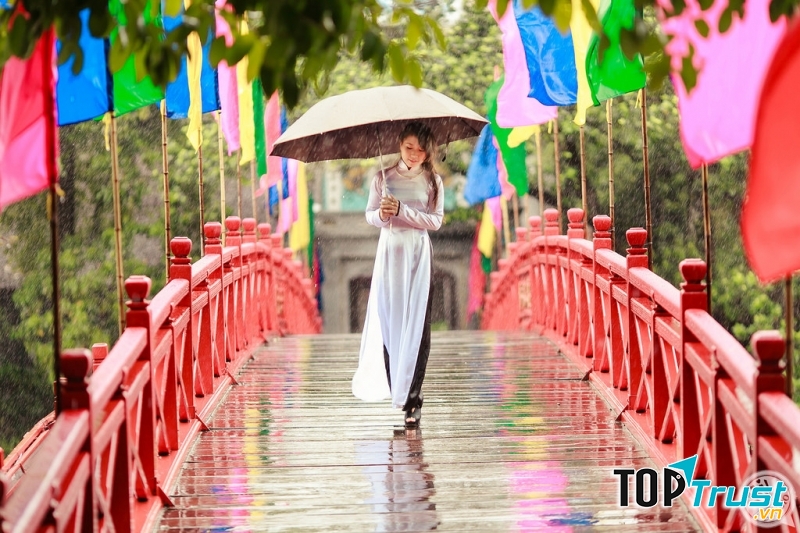 Ảnh minh họa (nguồn Internet)