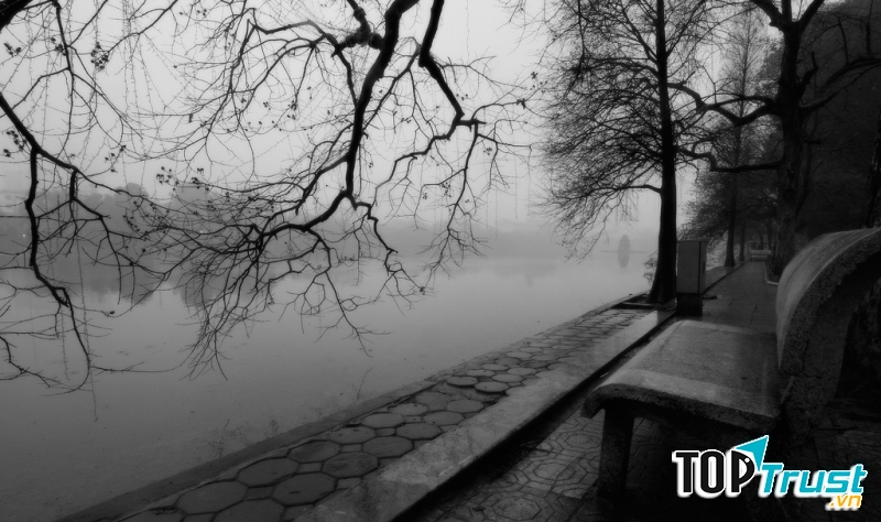 Ảnh minh họa (Nguồn internet)