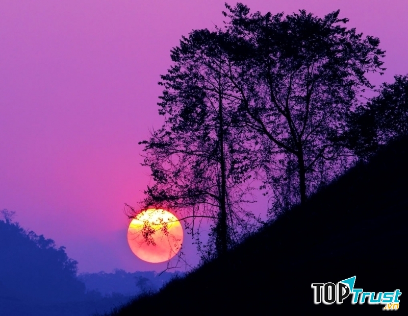 Ảnh minh hoạ (nguồn internet)