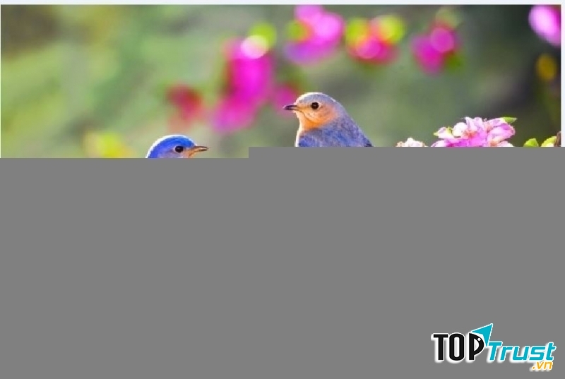 Ảnh minh họa (nguồn internet)