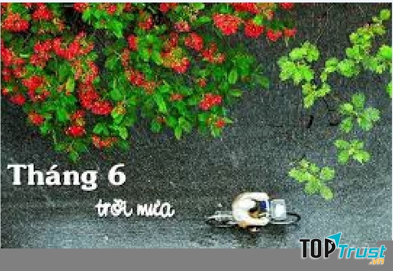 Ảnh minh họa (nguồn internet)