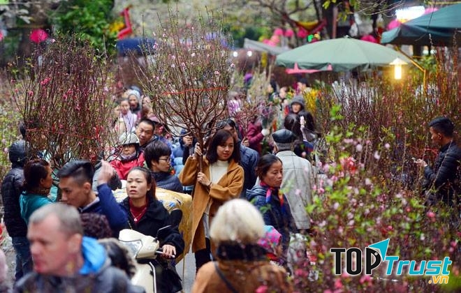 Ảnh minh họa (nguồn internet)